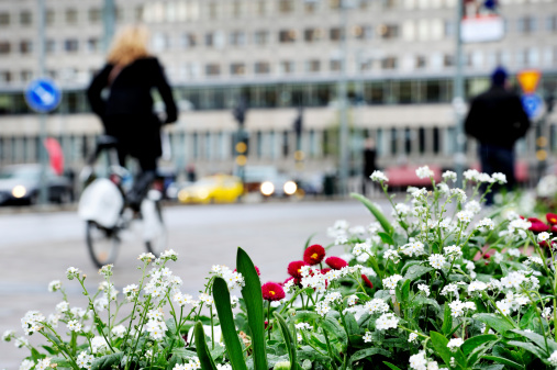 White flowers against city environment, blurred bicyclist and pedestrians
